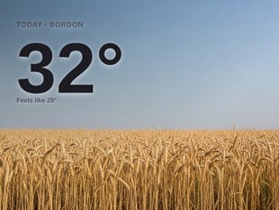 Bordon: sunny day, high of 32°C