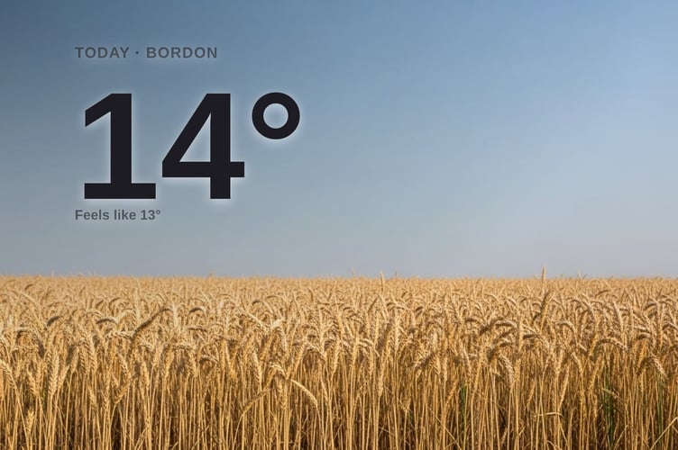 Bordon weather: sunny Saturday with little chance of rain and a high of 14°C